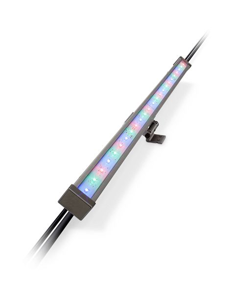 Vaya Linear LP