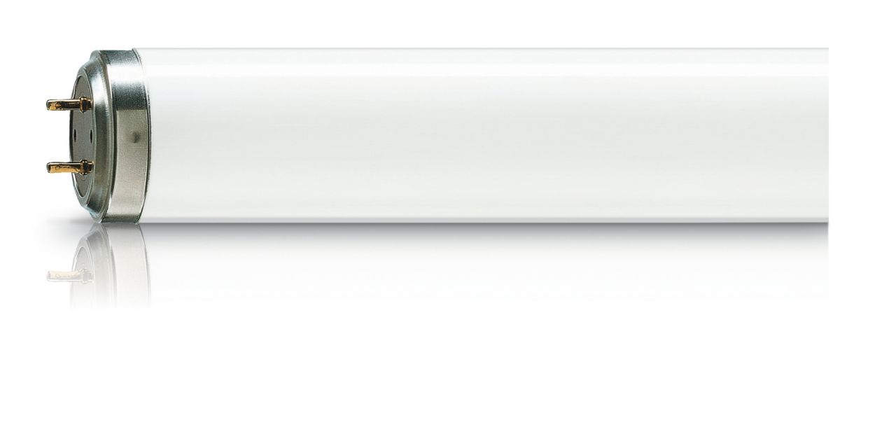 Actinic BL TL(-K)/TL-D(-K) – optimized for Electronic Fly Killers
