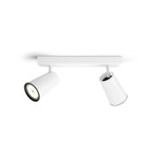 Philips (PHL) Plafond-/wandspots Paisley plafond-/wandspot, 2x