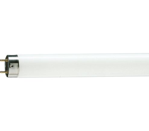 MASTER TL-D 90 De Luxe 36W/950 1SL/10