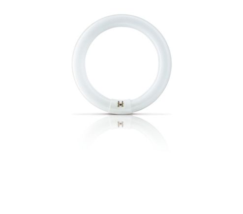 Actinic BL TL-E 22W/10 1CT/20