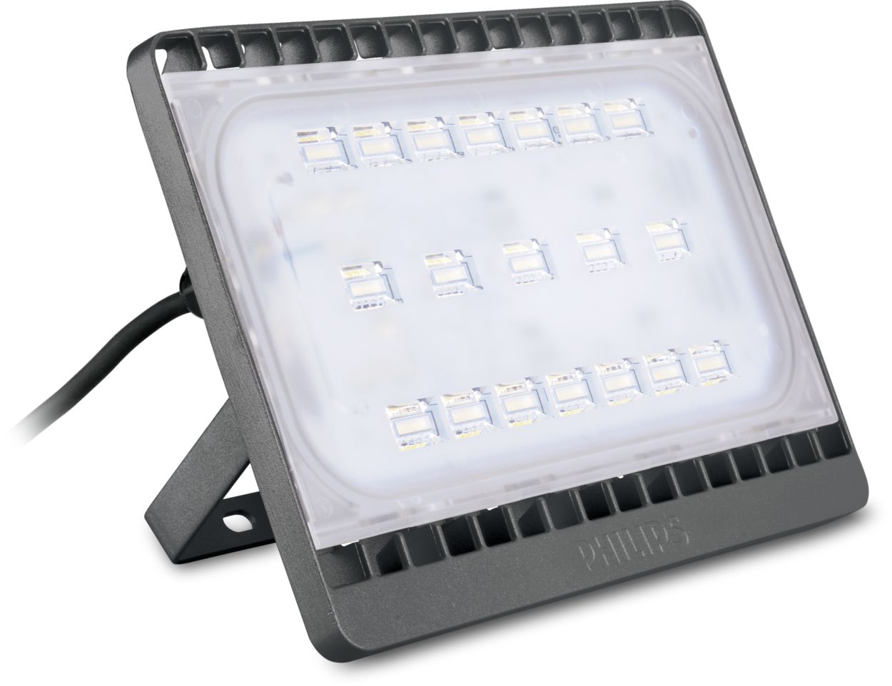nitelighter nl100
