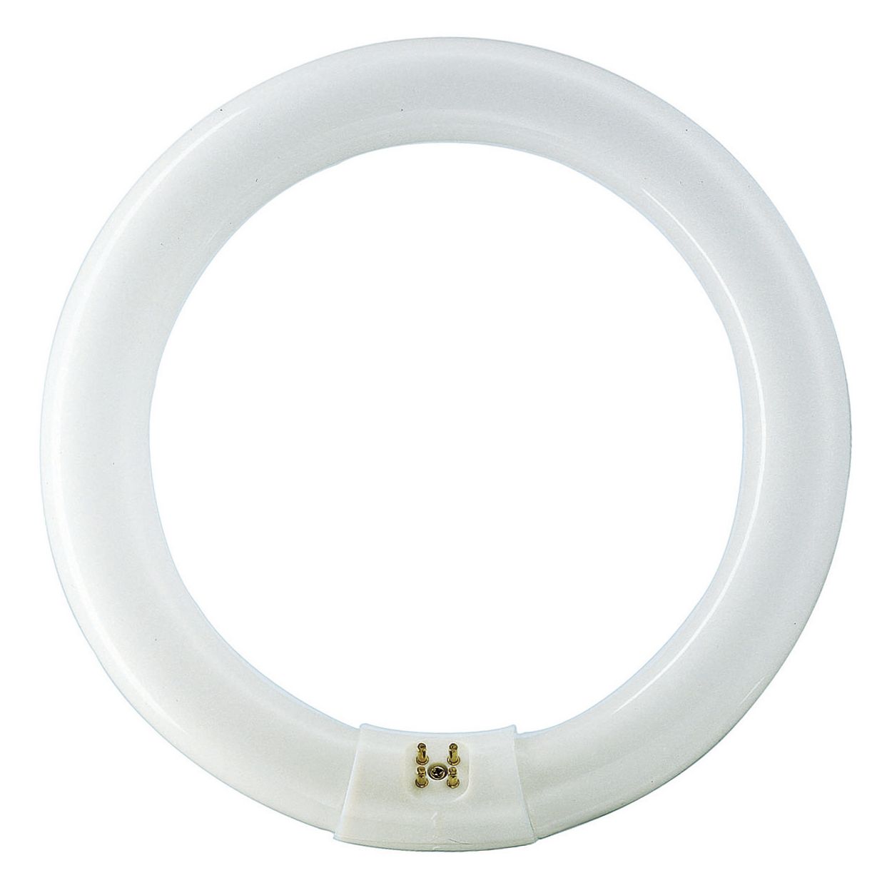 Circular shaped, basic fluorescent lighting