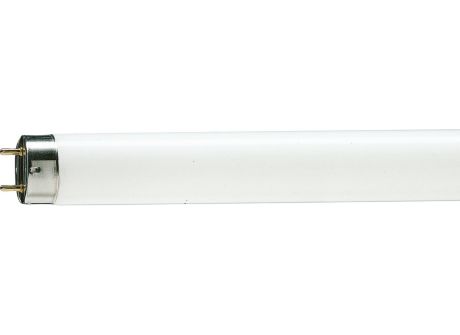 TL-D 15W/54-765 1SL/50