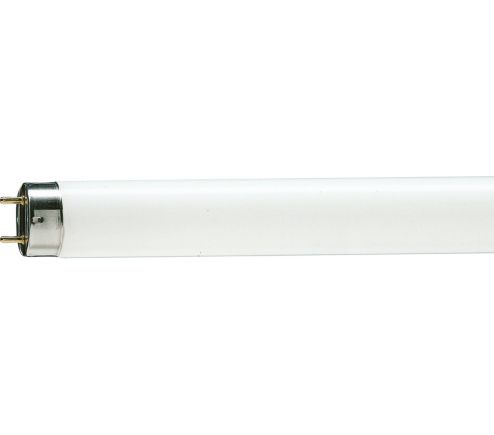 TL-D 15W/54-765 1SL/50