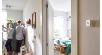 Сензорът за дневна светлина разпознава светлината