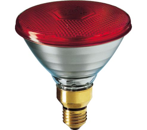 PARTYTONE 80W E27 240V PAR38 Red 1CT/6