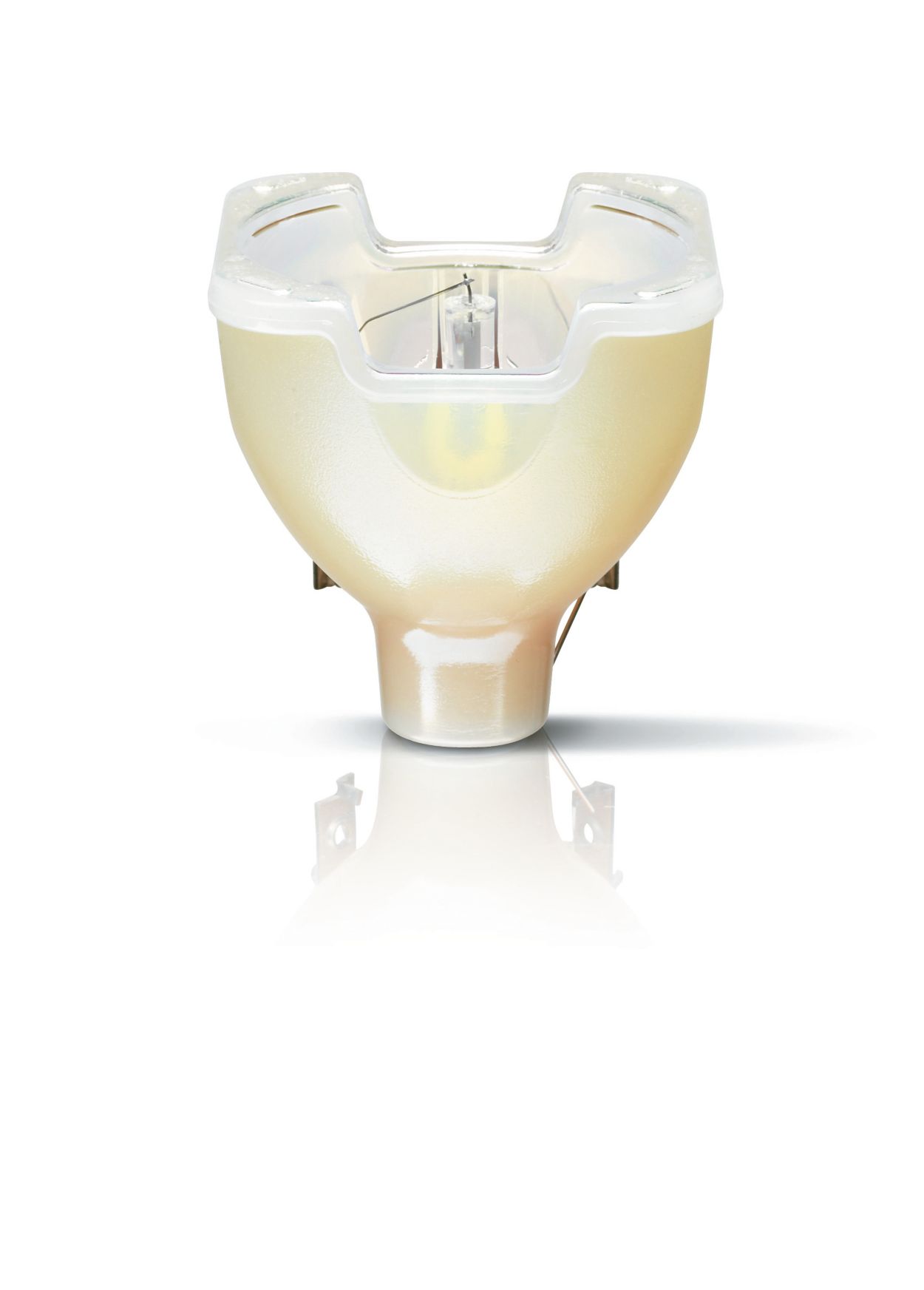 MSD Platinum – The power to light your creativity