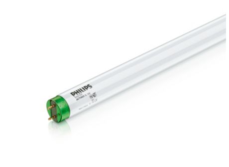 MASTER Actinic BL TL-D 15W/10 1SL/25