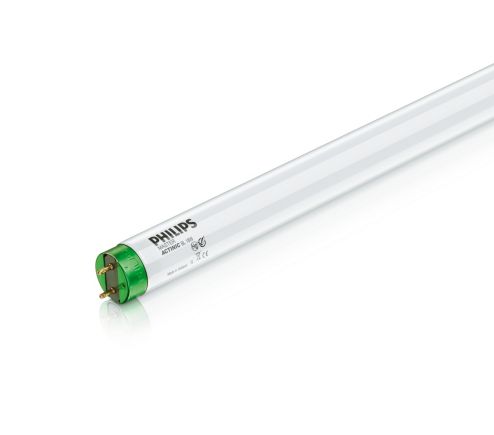MASTER Actinic BL TL-D 15W/10 1SL/25