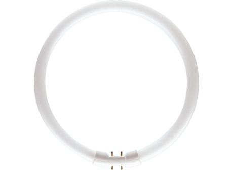 MASTER TL5 CIRCULAR 55W/840 1CT/10